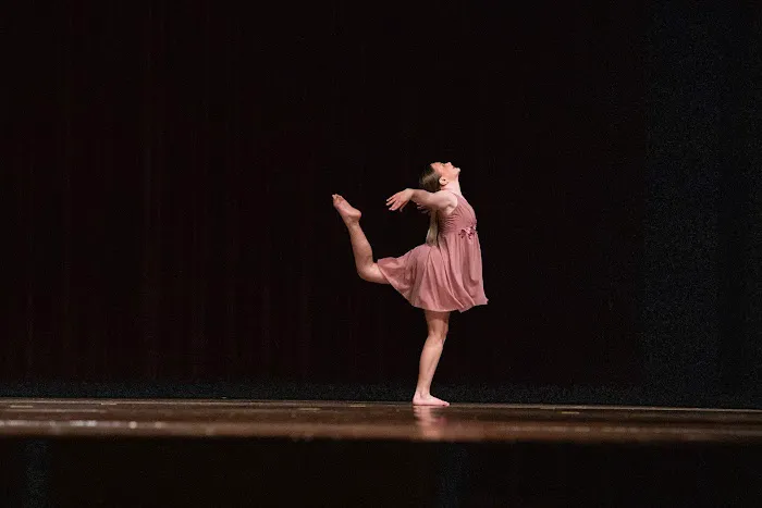 Vibe Dance Center Picture 2