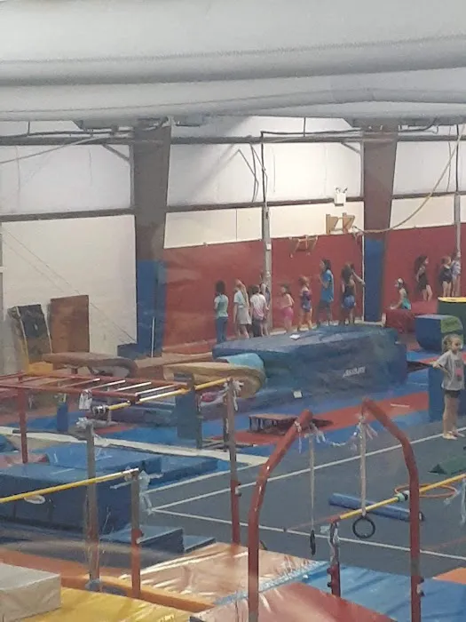 TWIGS KIDS Gymnastics, Swimming & Cheer Picture 1