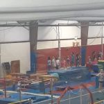 TWIGS KIDS Gymnastics, Swimming & Cheer