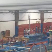 TWIGS KIDS Gymnastics, Swimming & Cheer ico
