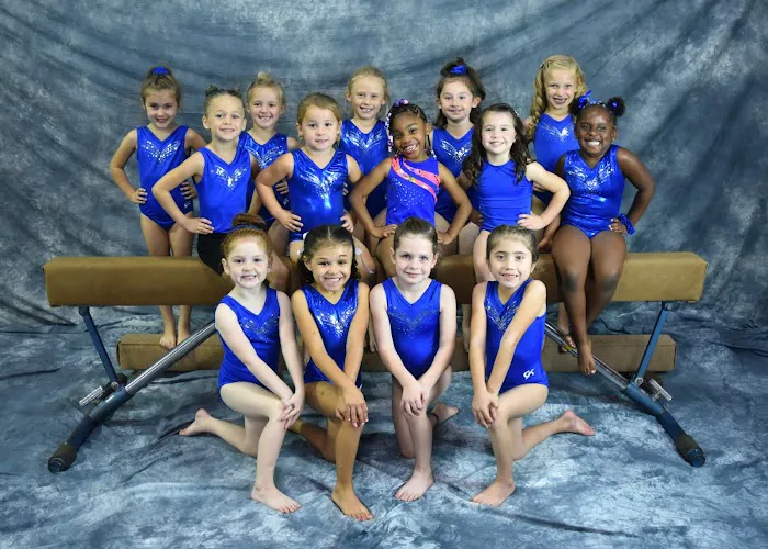 TWIGS KIDS Gymnastics, Swimming & Cheer Picture 6
