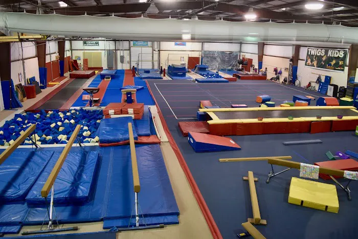 TWIGS KIDS Gymnastics, Swimming & Cheer Picture 5