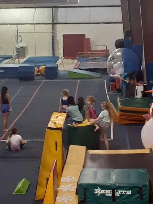 TWIGS KIDS Gymnastics, Swimming & Cheer Picture 10