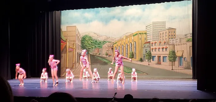 CHS Performing Arts Center Picture 3