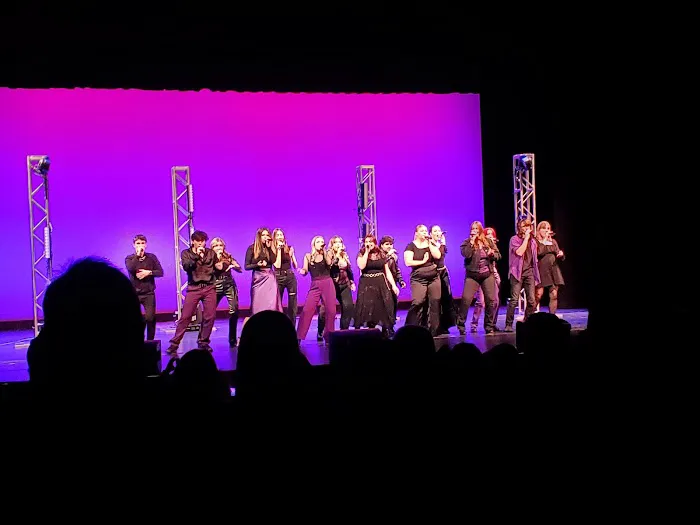 CHS Performing Arts Center Picture 7