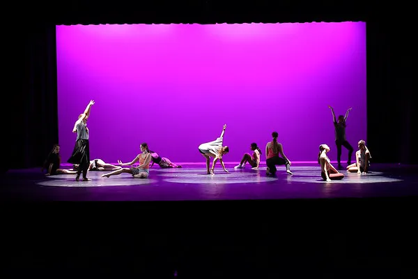 CHS Performing Arts Center Picture 6