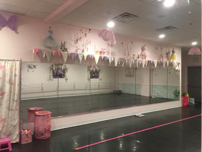 Pink Slipper Dance Studio Picture 4