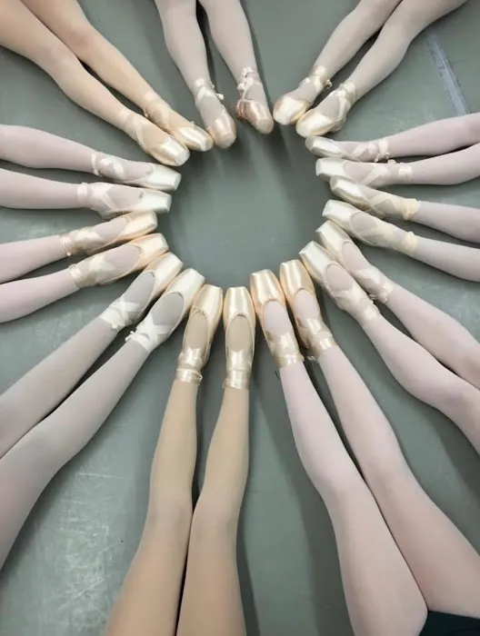 The Dance Centre Picture 9