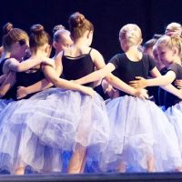 School for the Arts ico