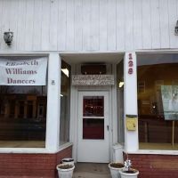 Elizabeth Williams School-Dance ico