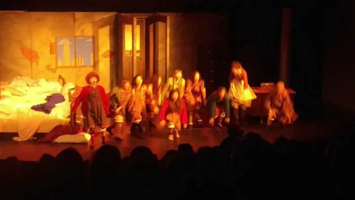 Performing Arts Academy Picture 4