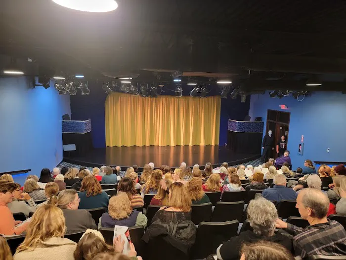 Performing Arts Academy Picture 5
