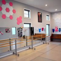 Miss Lizzy's Performing Arts Academy ico