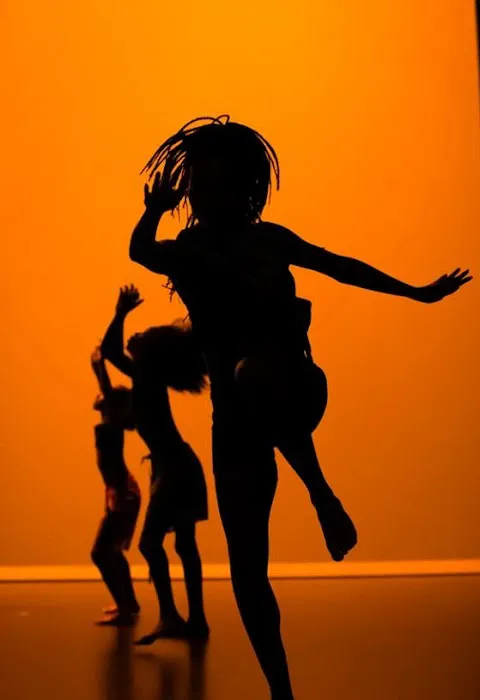 Revolution Dance Theatre Picture 8