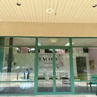 Encore Dance Academy ico
