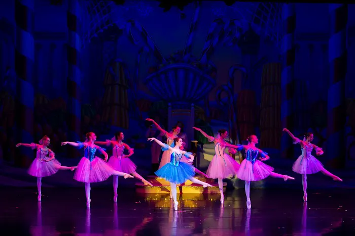 Central Indiana Dance Ensemble Picture 3