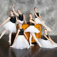 Central Indiana Dance Ensemble ico