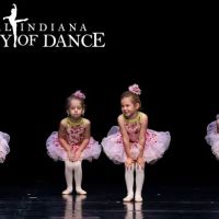 Central Indiana Academy of Dance ico