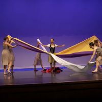Dance Creations Academy ico