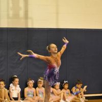 Rhythmic Gymnastics of Indiana ico