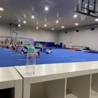 Farber's Tumble, Dance, Cheer, and Gymnastics ico