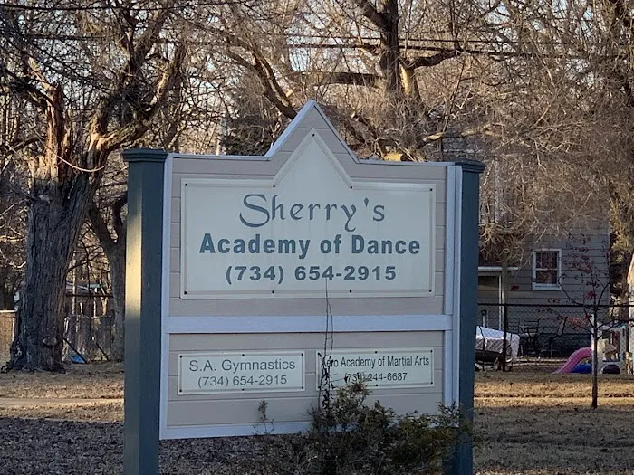 Sherry's Academy of Dance Picture 6