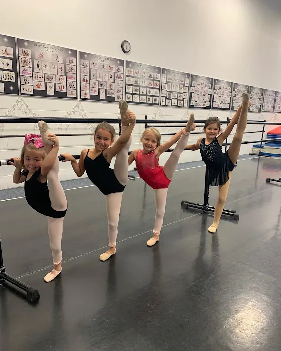 Elite Dance Force Picture 3