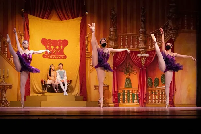 Elite Dance Force Picture 4