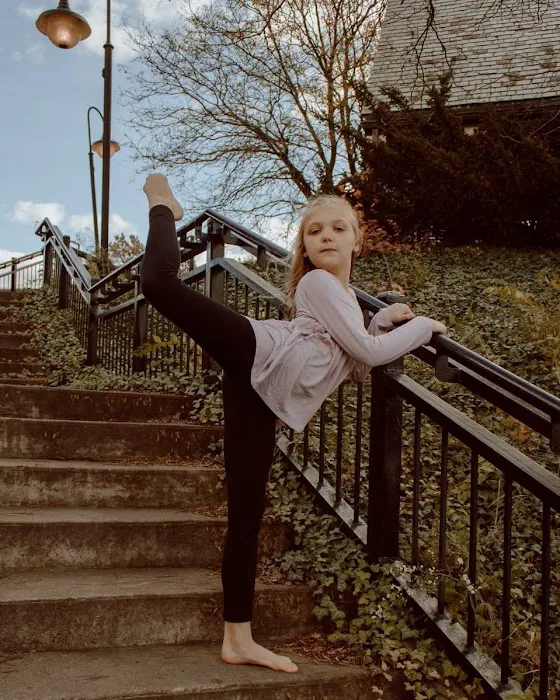 Elite Dance Force Picture 6