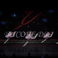 Milford Dance Academy ico