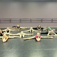 Performers Edge Dance Company ico