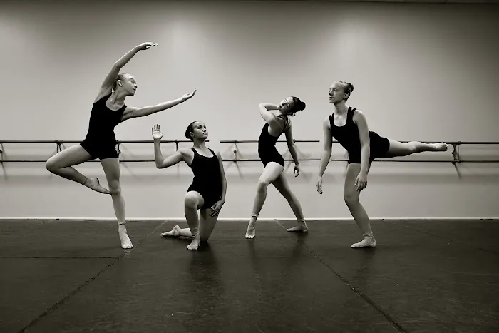 Fenton School of Dance & Academy Picture 4