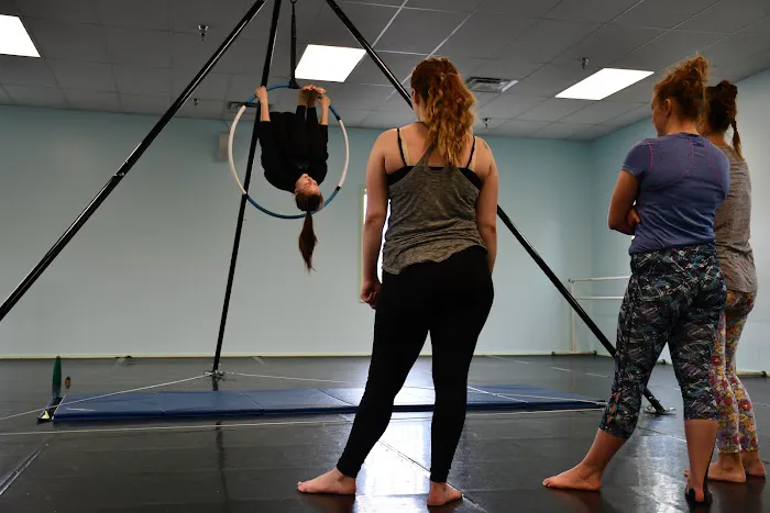 Fenton School of Dance & Academy Picture 9