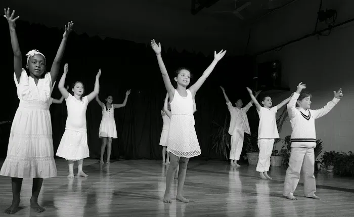 Ruhala Performing Arts Center Picture 7
