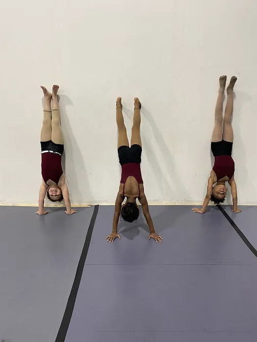 Elevation Dance Refinery Picture 7
