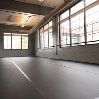 Iris Rosa Dance Studio ico