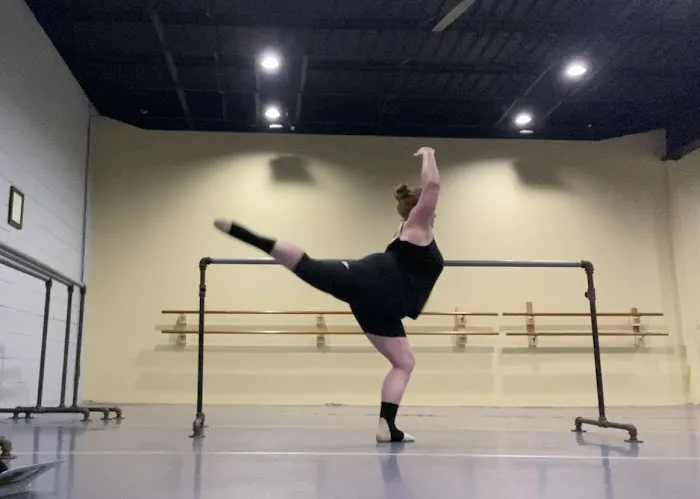 DanceWorks Indy Picture 4