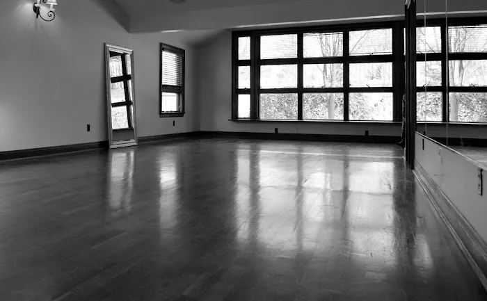 Dance Manor Picture 7