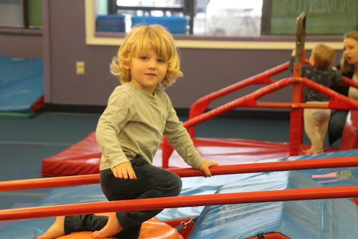 The Little Gym of Mason Picture 9