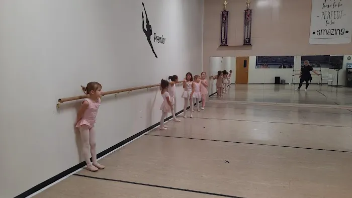 Premier Tumbling & Dance/Premier Ninja Kidz Picture 6