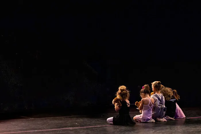 Expressions Dance Theatre Picture 9