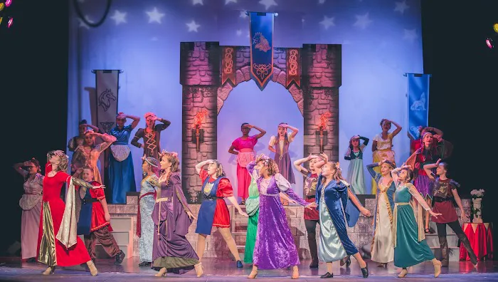 Moss Performing Arts Academy Picture 2