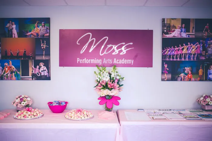 Moss Performing Arts Academy Picture 5