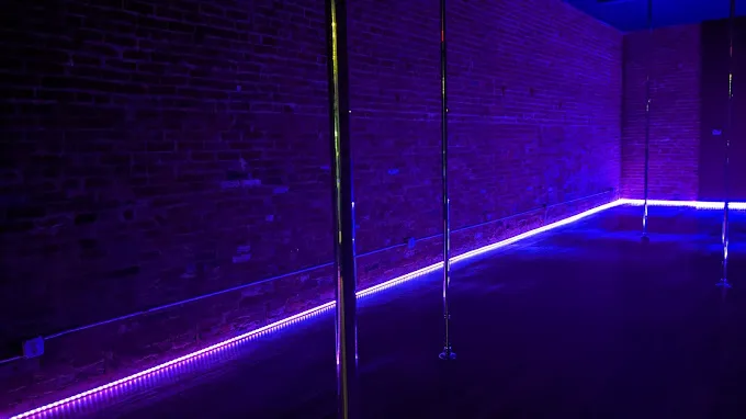 Oh Foxy Pole Dance Studio Picture 2