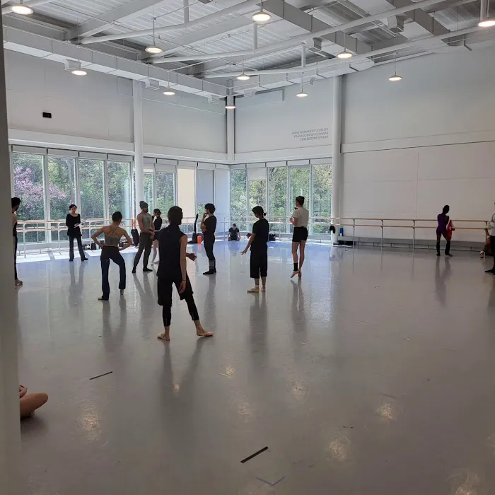 Cincinnati Ballet Picture 3