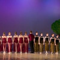 Village Dance Studio ico