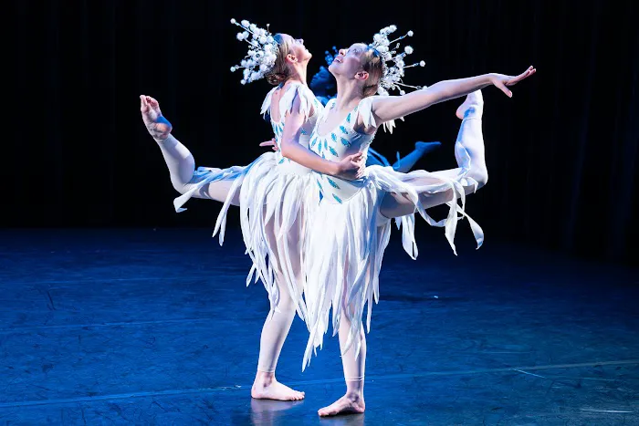The Academy of Gregory Hancock Dance Theatre Picture 1