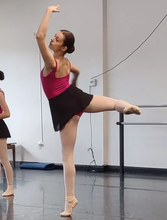 Indiana Ballet Conservatory Picture 9