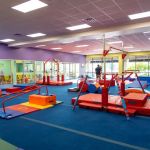 The Little Gym of Carmel