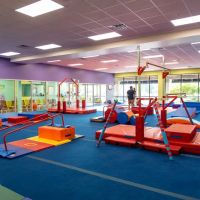 The Little Gym of Carmel ico